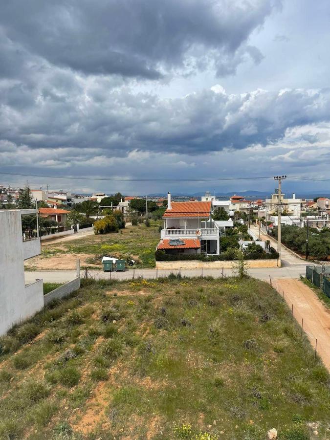 Airport View Apartments Artemi Extérieur photo